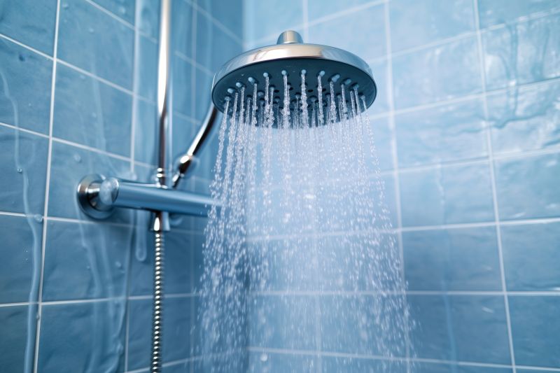 Elegant Shower Features